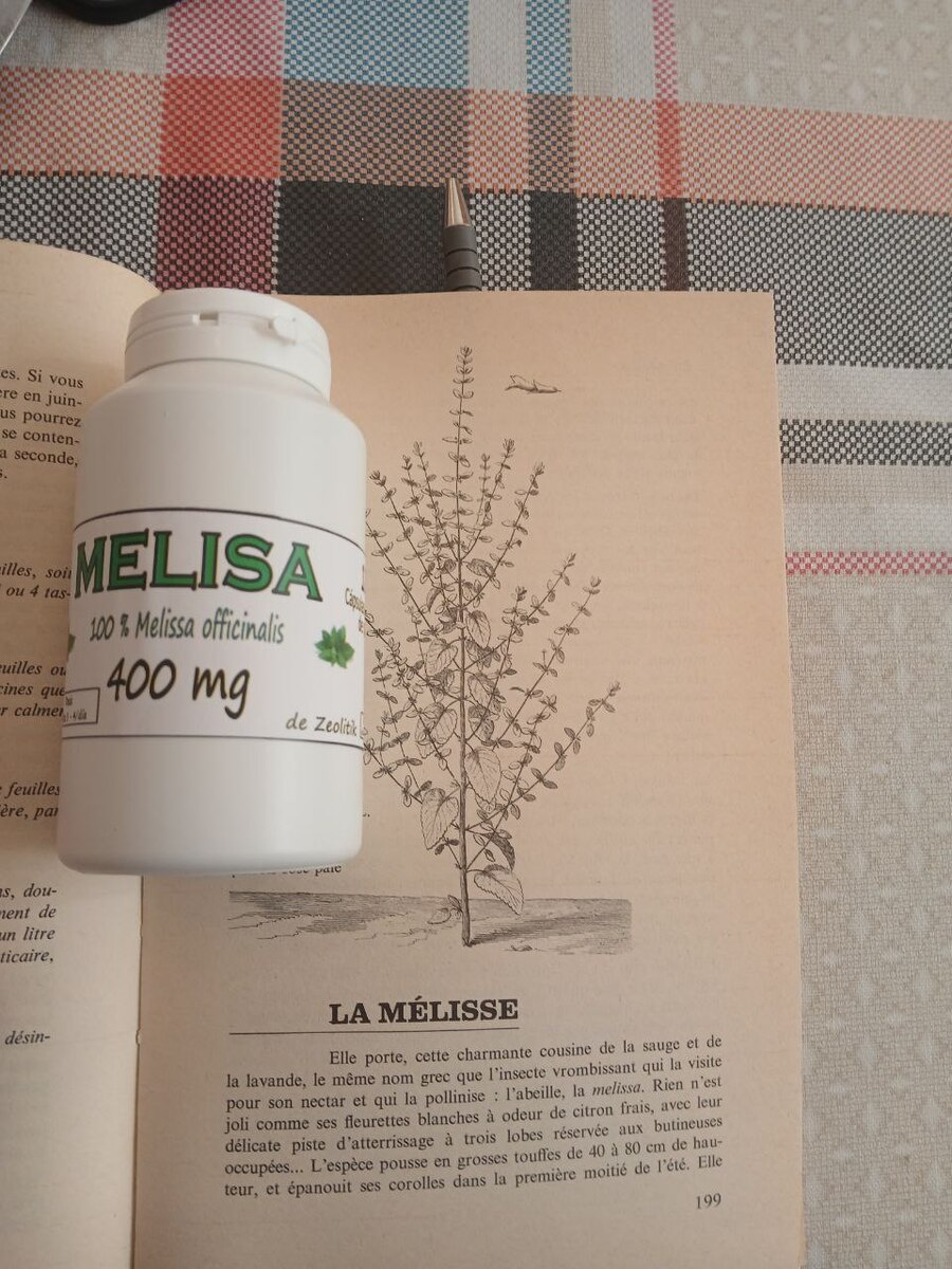 10 Bottles, Lemon Balm Capsules 400mg: Vegan Herbal Supplement, Relaxation - 120 Item image 7