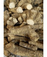 Horseradish Roots Natural Organic, 1 pound , Ready For Planting or Prepa... - £12.75 GBP