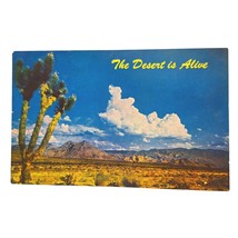 Postcard The Desert Is Alive Joshua Tree Jagged Mountains Wastelands Chrome - £5.42 GBP