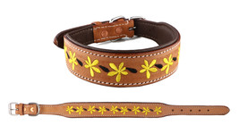 Challenger 100% Cow Leather Floral Embroidered Padded Dog Collar 60BT08 - $39.99