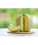 Buah Melon Kering (Dehydrated Melon), 80 Gram - $440.19 MXN