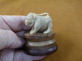 tb-mon-10 white Macaque true monkey Tagua NUT palm on base figurine Bali... - £37.77 GBP