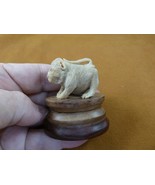 tb-mon-10 white Macaque true monkey Tagua NUT palm on base figurine Bali... - £37.91 GBP