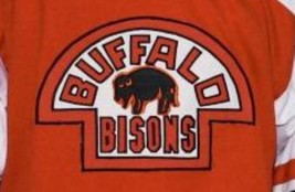 Any Name Number Buffalo Bisons Retro Hockey Jersey New Orange Any Size image 4