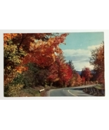 Glistening Gold Autumn Foliage New Hampshire NH Plastichrome Postcard c1... - $3.99