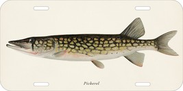 SHERMAN F DENTON FISHES NORTH AMERICA PICKEREL CAR METAL LICENSE PLATE - £11.86 GBP