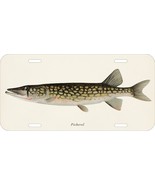 SHERMAN F DENTON FISHES NORTH AMERICA PICKEREL CAR METAL LICENSE PLATE - $276.62 MXN