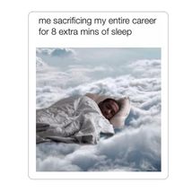 Me sacrificing My Entire Career for 8 Extra mins of Sleep SNS Meme Vinyl... - $109.97 MXN