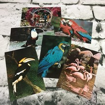 Postcard Collectible Vintage Lot Of 6 Sunken Gardens Florida Tropical Birds - £11.62 GBP