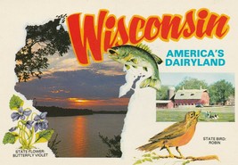 Postcard Wisconsin America&#39;s Dairyland State Flower State Bird Unused - £4.75 GBP