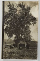 Farm Scene Large Man Standing at Tree RPPC Postcard R1 - £3.82 GBP