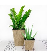 DTY Signature 2-Pack Smart Self-watering Square Planter - Hand Woven Wicker - £64.86 GBP