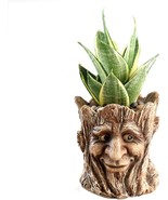 Funny Planter Head Face Plant Pot With Drainage Hole Resin Succulent, Sm... - $44.97