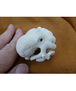 (TB-OCTO-3) white Octopus ball TAGUA NUT palm figurine Bali Oce reef octopi - $57.96