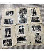 Carlsbad Caverns Post Cards Jim White 1928 New Mexico - $51.22 CAD