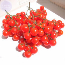 Riesentraube Cherry Tomato Seeds 100 Seeds Infinite Growth Bright Red Smooth Che - $8.97