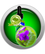 Violet Leaf Absolute Oil (Viola Odorata) - $6.00+