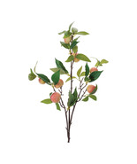 Peach Fruit Foliage Branch (Set of 6) - $1,458.07 MXN
