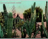 Cactus IN Città Park Riverside California Ca Unp Non Usato DB Cartolina J3 - $7.12