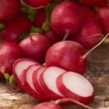 BStore 90 Early Scarlet Globe Radish Seeds - £6.42 GBP