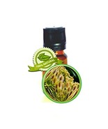 Carrot Seed Essential Oil - 100% Pure (Daucus Carrota) - 15ml (1/2oz) - ... - $34.29