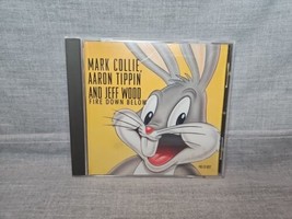 Mark Collie/Aaron Tippin/Jeff Wood - Fire Down Below (CD Single, 1997, Warner)  - £15.17 GBP