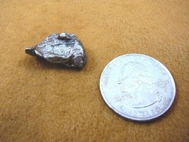(x262-196) 6 g Campo del Cielo iron meteorite 1576 shrapnel fragment spe... - $15.88
