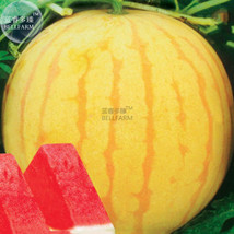 ALGARD Heirloom Yellow Skin Red Seedless Watermelon Seeds, Professional ... - $3.70