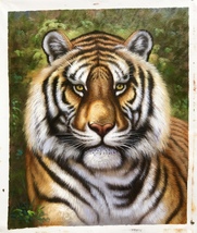 Wide Tiger Handmade Oil Painting Unmounted Canvas 20x24 inches - £236.07 GBP