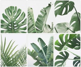 Botanical Wall Art Print Set of 6 Tropical Plant Leaves Wall Art 8&quot;x10&quot; UNFRAMED - £15.10 GBP