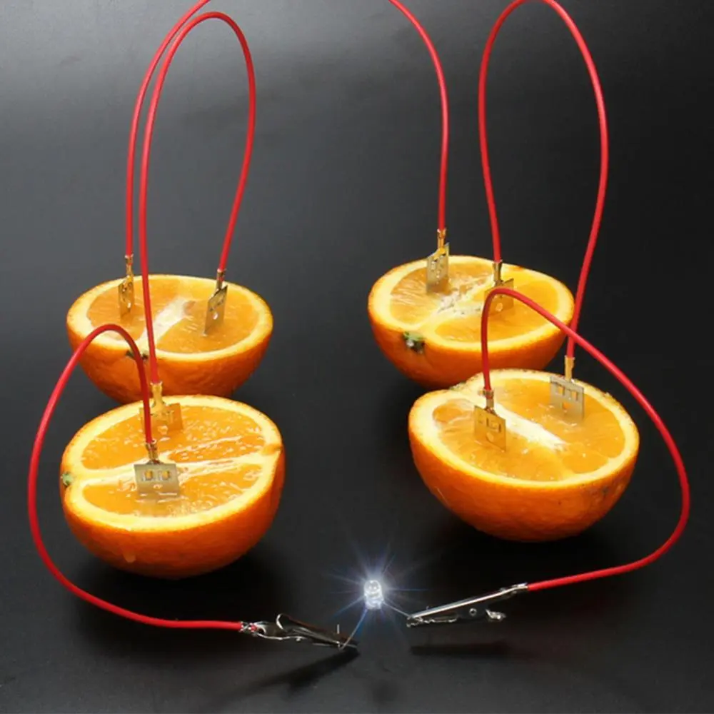 Toy Experiment Kit Fruit Battery Light Diode Generator Science Student Educati - £8.00 GBP