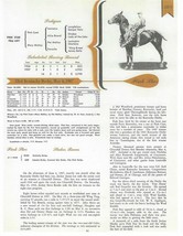 1907 - PINK STAR - Kentucky Derby Pedigree, Career Highlights &amp; Race Chart - £15.68 GBP