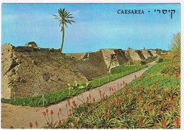 Israel Postcard Caesarea The Crusaders City Wall - £2.30 GBP