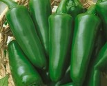 50 Tam Jalapeno Pepper Seeds Non-Gmo Heirloom Fast Shipping - £7.22 GBP