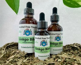 Ginkgo Biloba Tincture - Alcohol Free Extract - Handmade Herbal Remedy - £2.36 GBP+