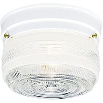 Westinghouse Lighting 6620300 Two-Light Ceiling Fixture - $47.12 CAD