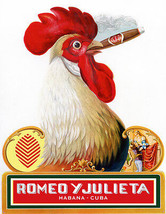 18x24&quot;Poster Decor.Room art print.Mancave Cuban cigar.Rooster.6006 - £16.34 GBP