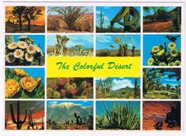 Postcard The Colorful Desert Multi View Flowers Cacti - $2.96