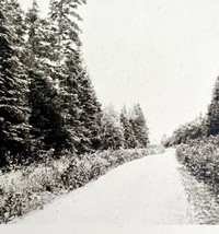 Bangor Aroostook Road Mt Desert Cove Maine 1924 Gravure Print New Englan... - £25.38 GBP