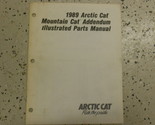 1989 Artico Gatto Mountain Addendum Illustrato Servizio Riparazione Shop... - £7.17 GBP