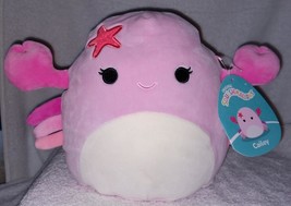 Squishmallows Cailey the Crab 8&quot; NWT - $14.73