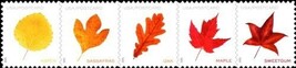 2025 56c Postcard Rate Vibrant Leaves, Strip of 5 Scott 5966-5970 Mint F... - $88.08 MXN