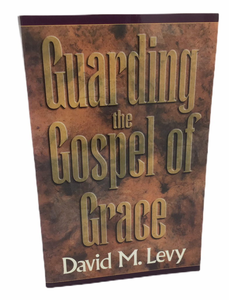 David Levy Guarding Gospel Galatians Grace Christian Bible God Jude Amaz... - $8.46