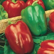 JGBOS Sell California Wonder 300 Bell Pepper 25 Seedsps - $9.00