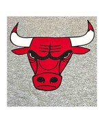 NBA Mens XL Chicago Bulls Basketball Gray Short Sleeve Tshirt ESPN Vinta... - £25.87 GBP
