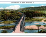 Loyalsock Creek And Bridge Williamsport PA UNP WB Postcard R16 - $4.90