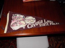 Vintage Cayuga Lake State Park Felt Souvenir Pennant - $452.30 MXN