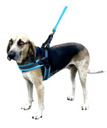 Sporn Easy Fit Dog Harness Blue Small - 1 count Sporn Easy Fit Dog Harne... - £17.65 GBP
