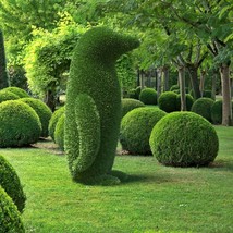 Outdoor Animal Penguin Topiary Green Figures 59&quot; covered in Artificial G... - $1,680.00