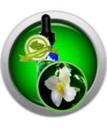 Jasmine (Jasminum Grandiflorum) Essential Oil - $8.00+
